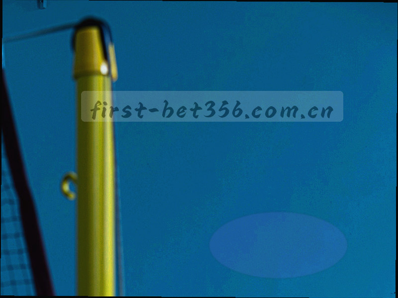 手机版与桌面端多平台设备抽象集合图