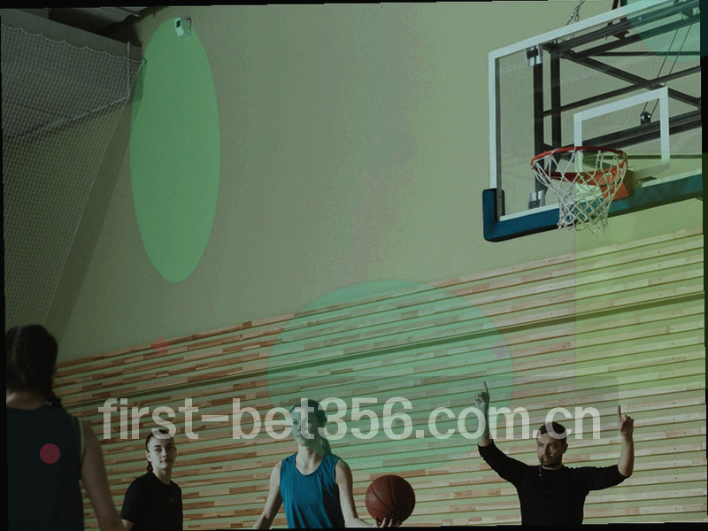 数据流展示BET356站内费用分类